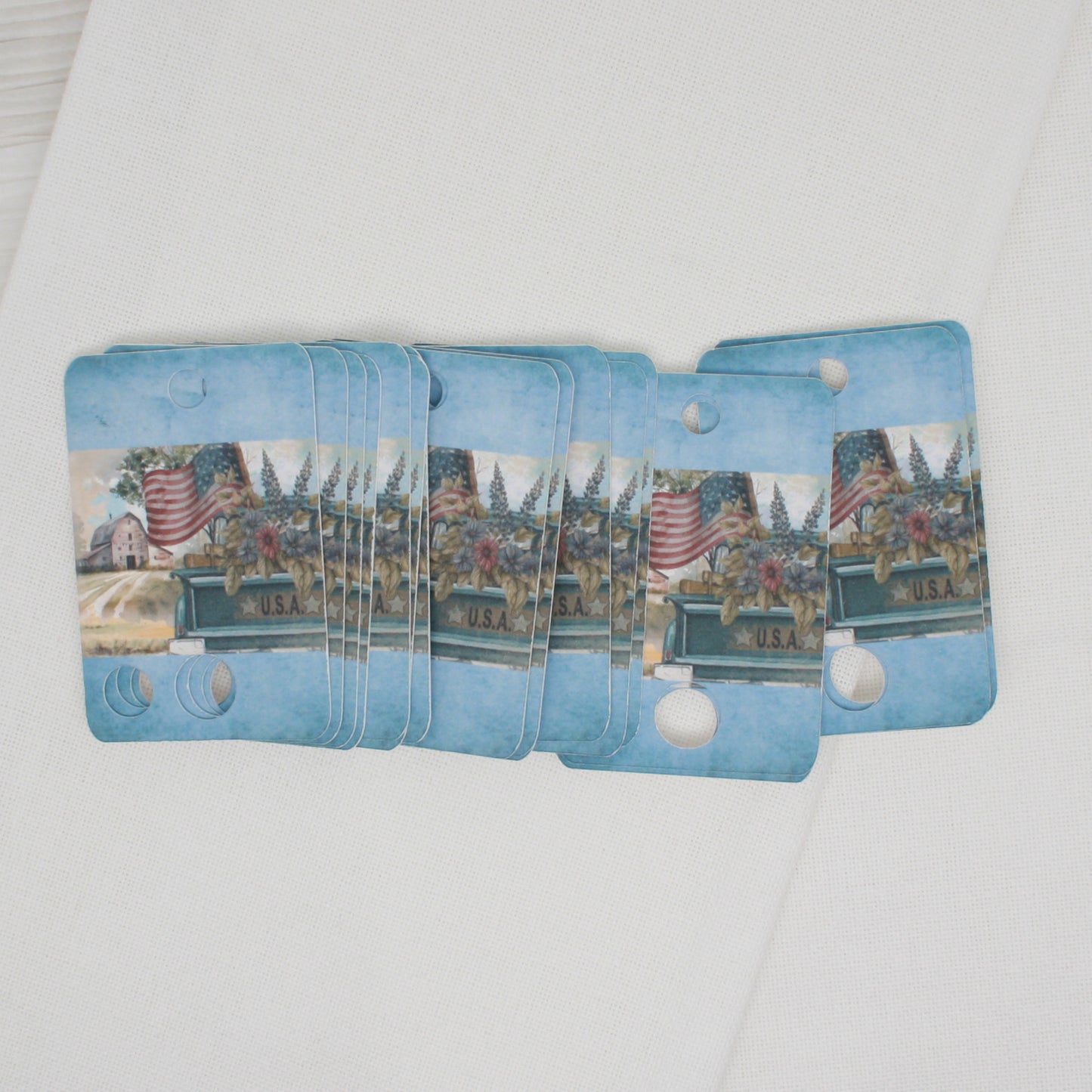 USA Truck Floss - Pack Of 20 Cards