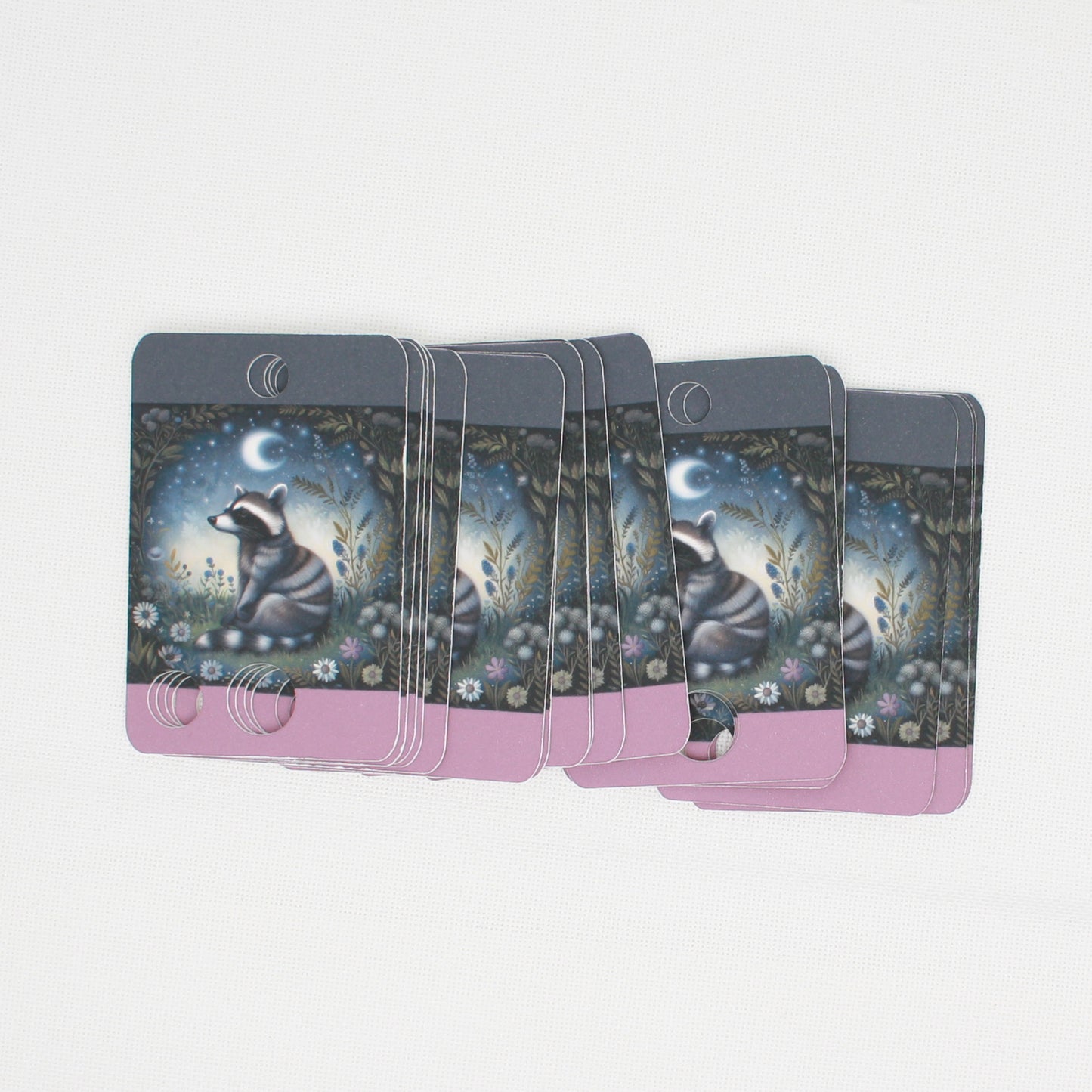 Night Animals Raccoon Floss Cards- Pack Of 20 Cards