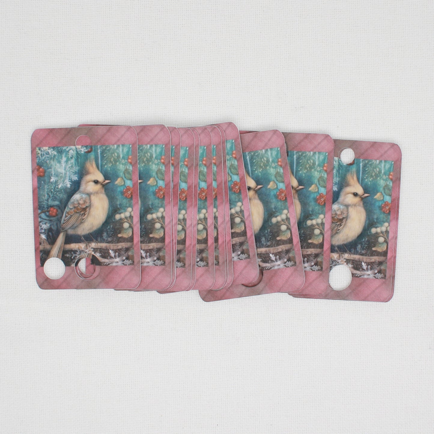 Christmas Bird Floss Cards.- Pack Of 20 Cards