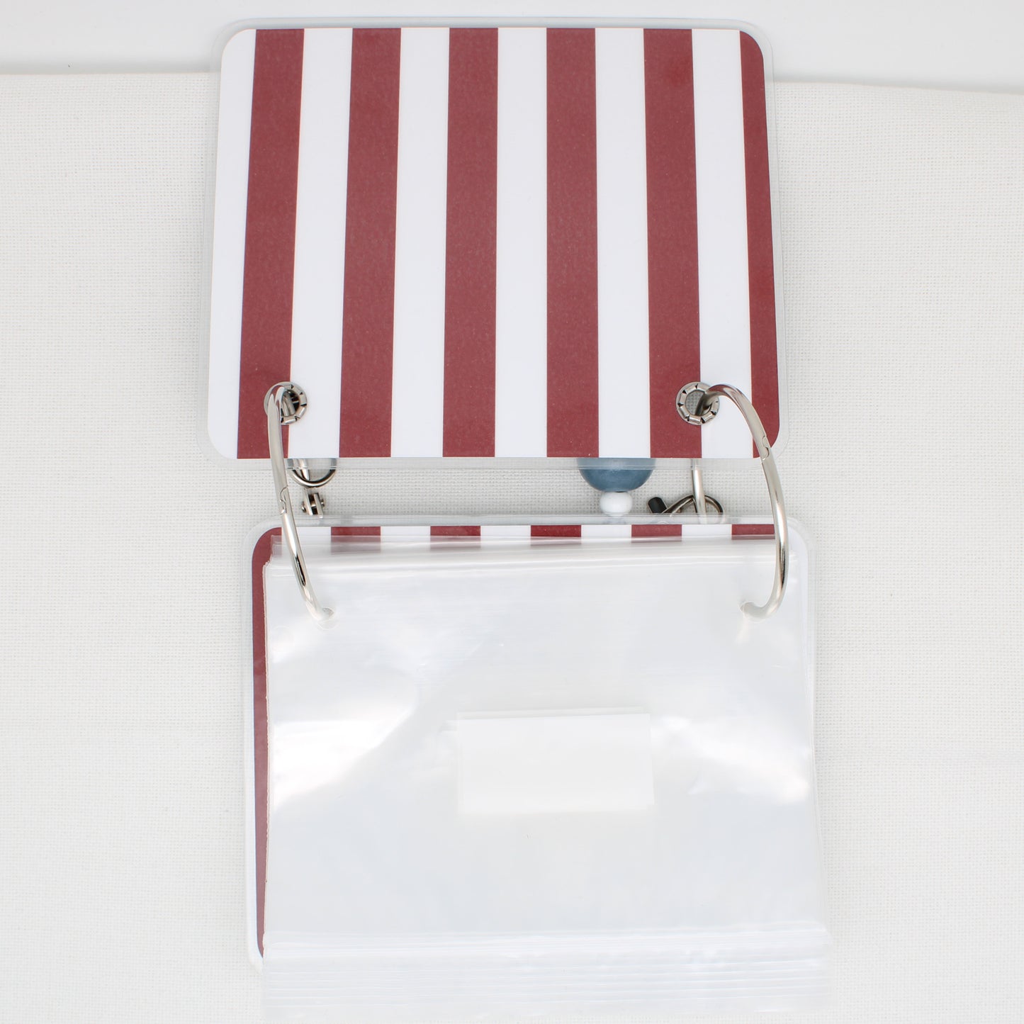 This Land is your Land  Floss Bag Book