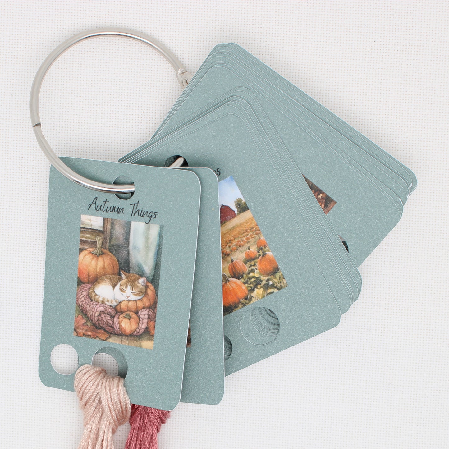 Autumn Things Floss Cards. - Pack of 20 Cards