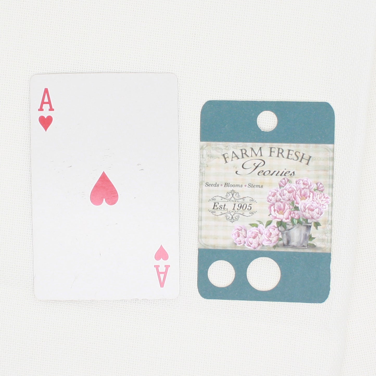 Peonies Floss Cards- Pack Of 20 Cards