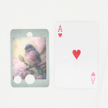 Spring Bird  Floss Cards - Pack Of 20 Cards