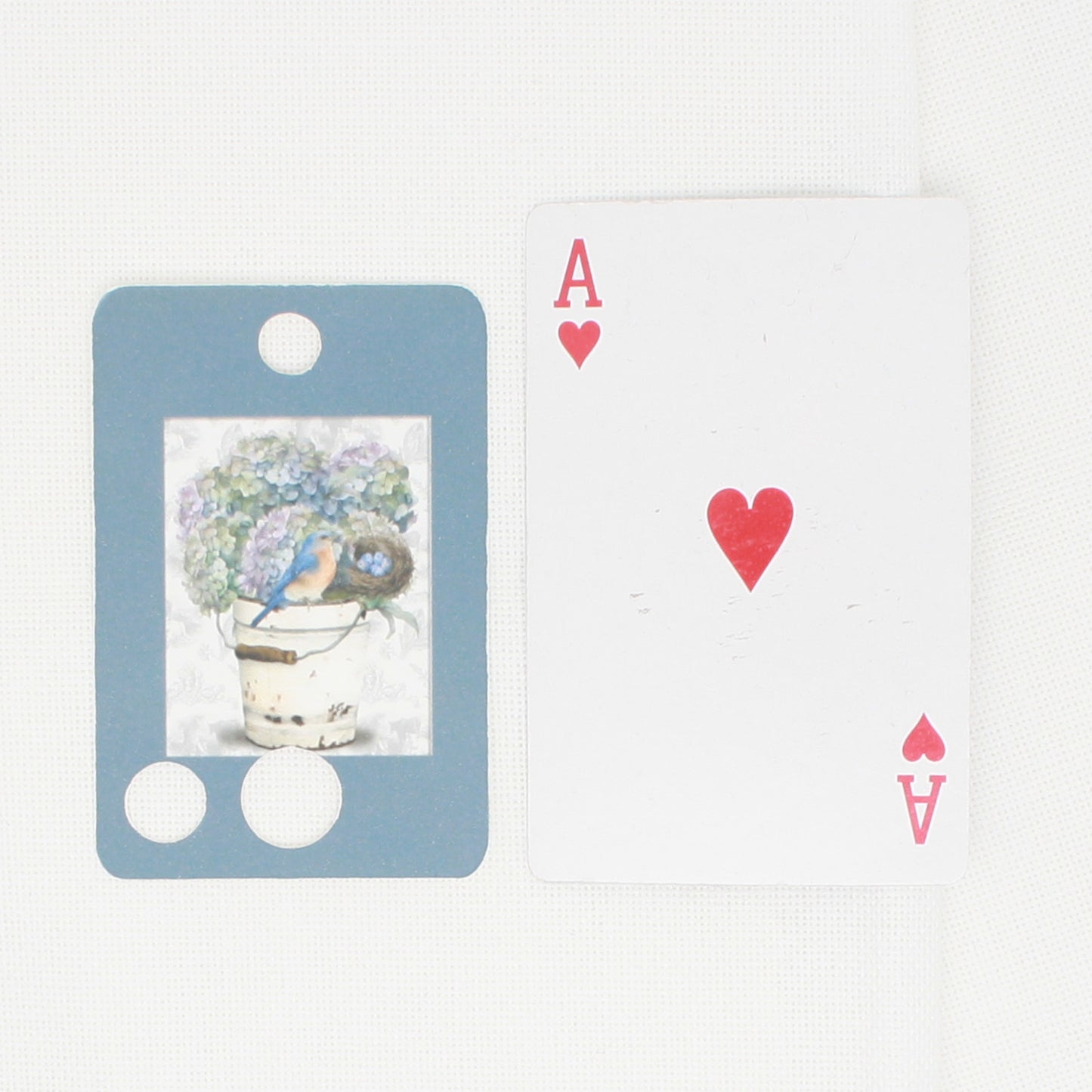 Bird And Hydrangea Floss Cards - Pack Of 20 Cards