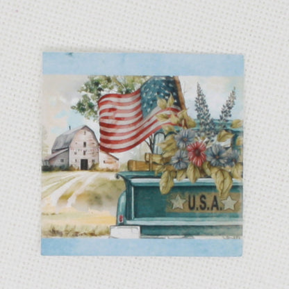 USA Truck Needle Minder