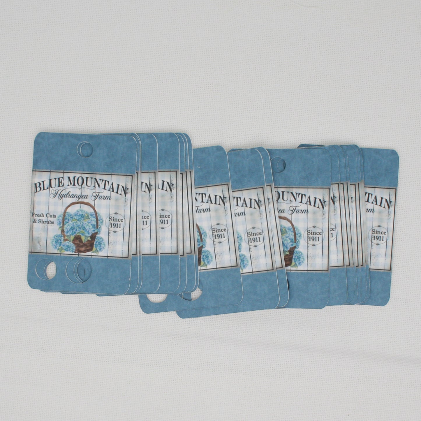 Blue Mountain Hydrangea Floss Cards.- Pack Of 20 Cards