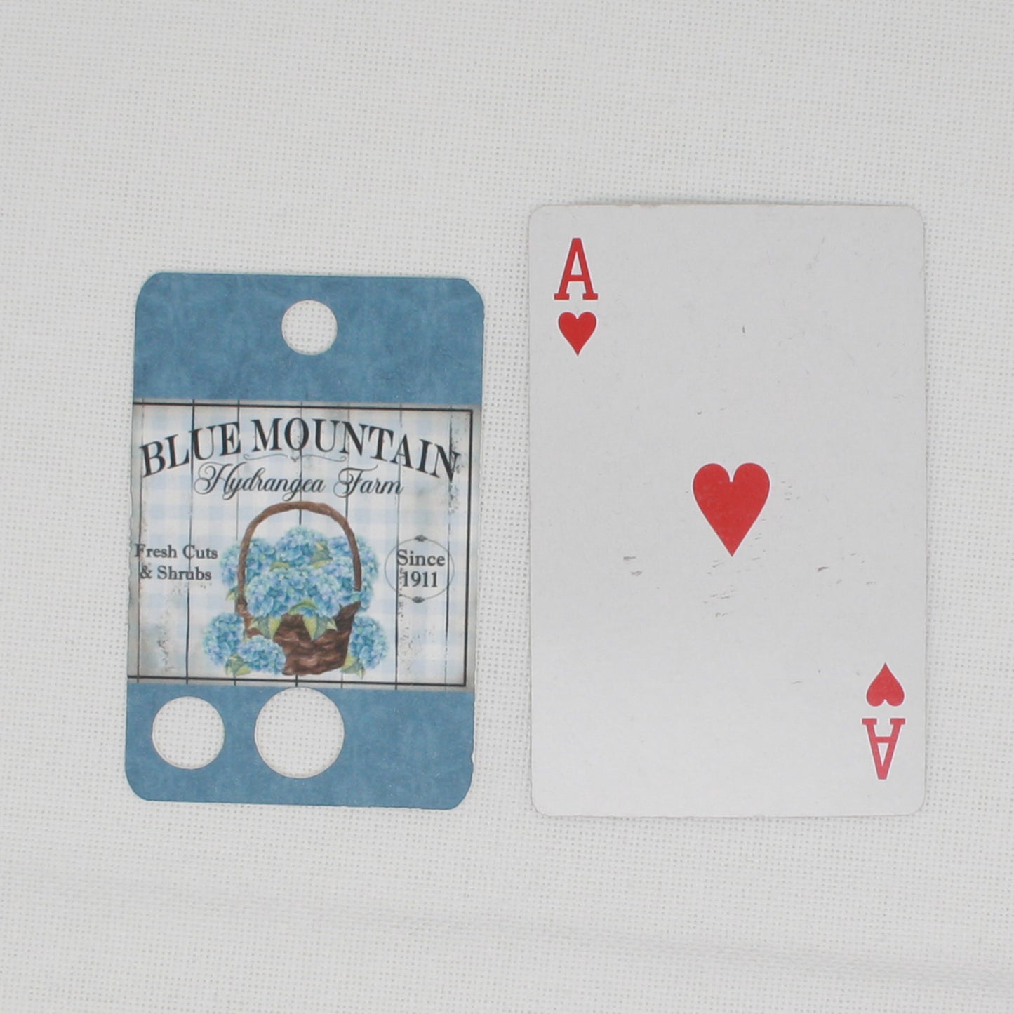 Blue Mountain Hydrangea Floss Cards.- Pack Of 20 Cards