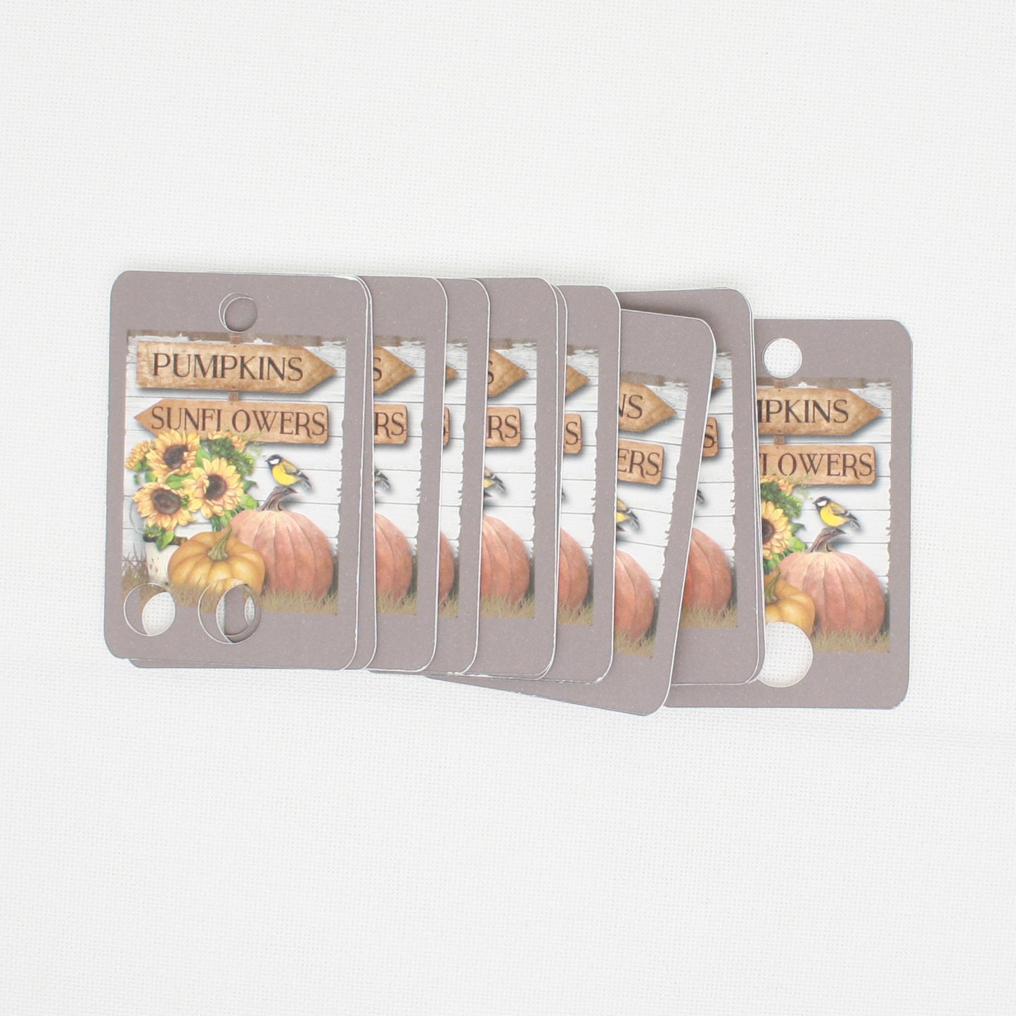 Pumpkin And Sunflower Floss - Pack Of 20 Cards