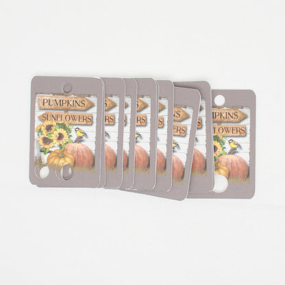 Pumpkin And Sunflower Floss - Pack Of 20 Cards