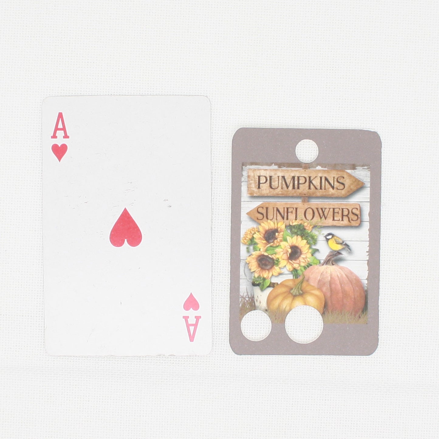 Pumpkin And Sunflower Floss - Pack Of 20 Cards