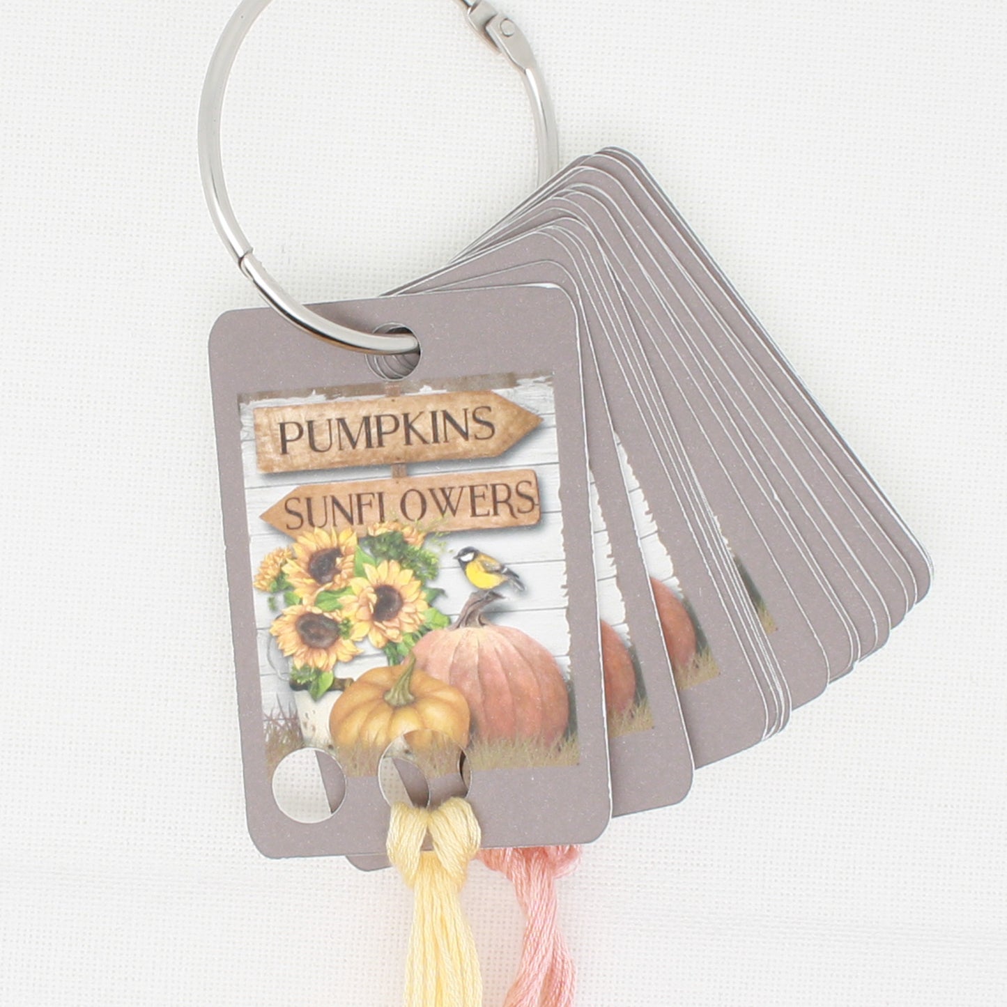 Pumpkin And Sunflower Floss - Pack Of 20 Cards