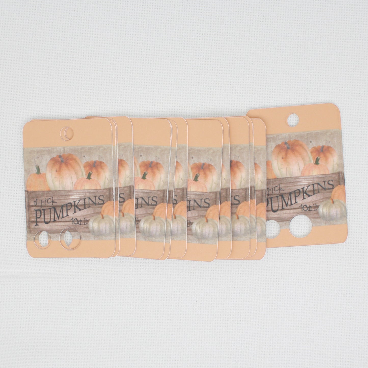 Pick Your Pumpkin Floss Cards.- Pack Of 20 Cards