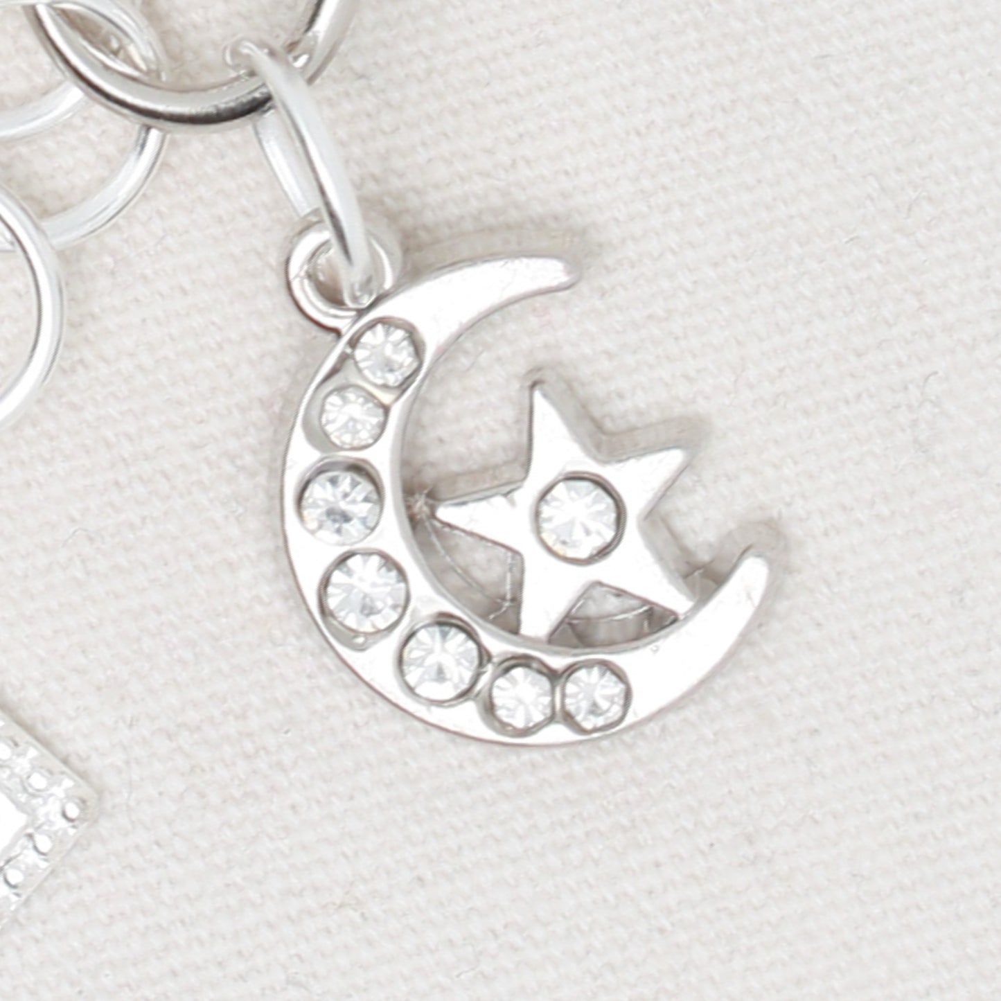 Night Raccoon Zipper Pull/ Mini- Fob