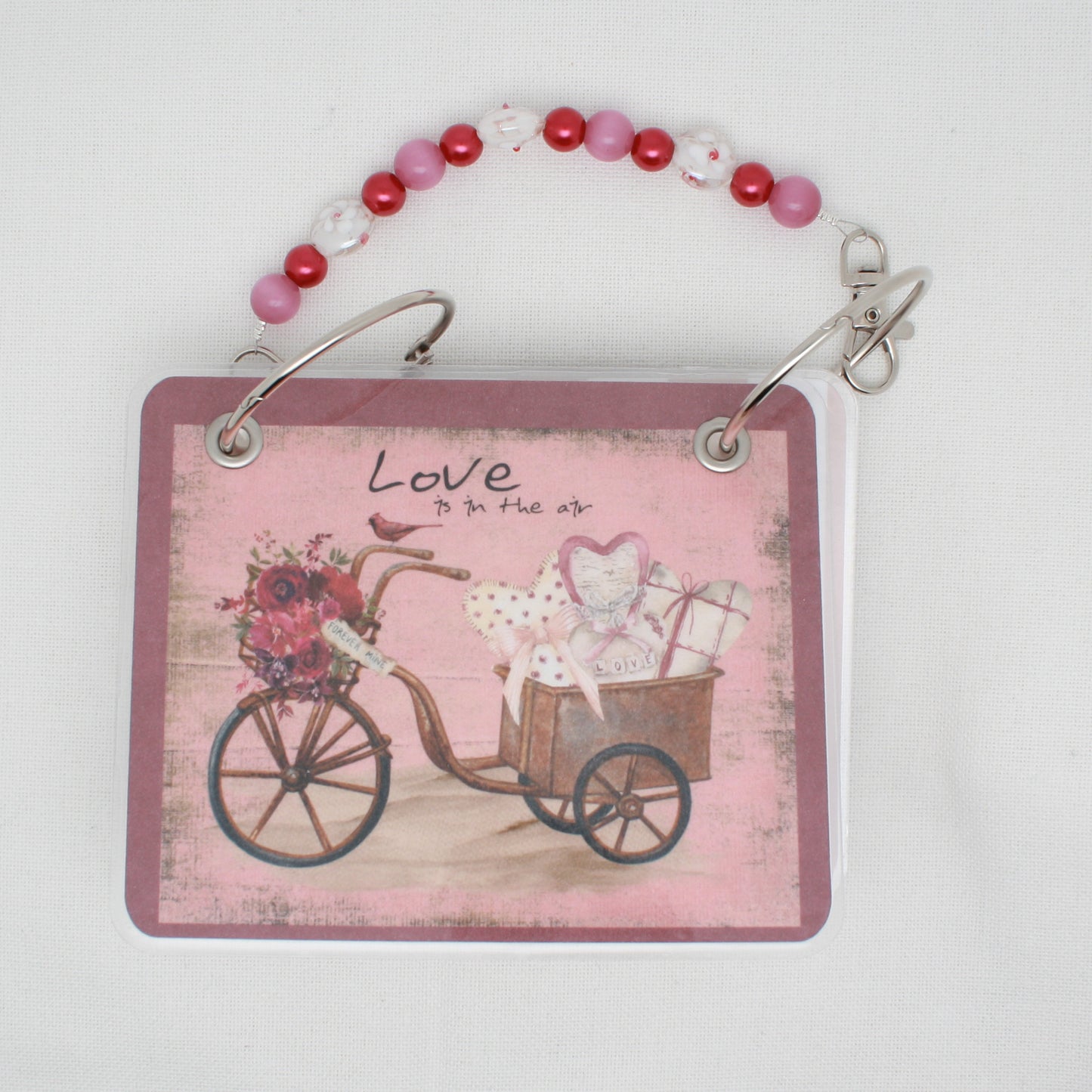 Valentine Bike Floss Bag Book