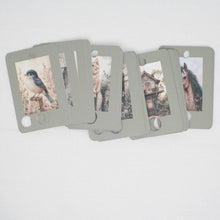 Spring Collection Floss Cards- Pack Of 20 Cards