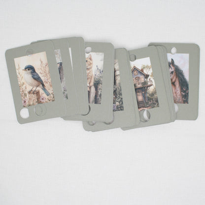 Spring Collection Floss Cards