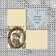 St Patrick Bunny Chart Place Keeper